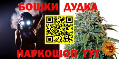 стаф Аргун